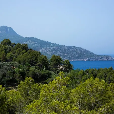 Dream In Alconasser Holiday home Soller